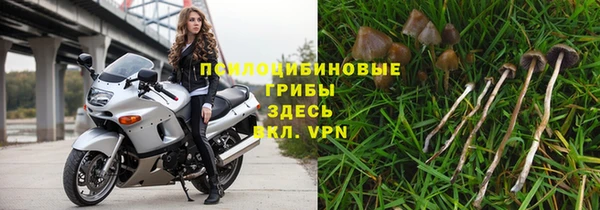 Альфа ПВП Кулебаки